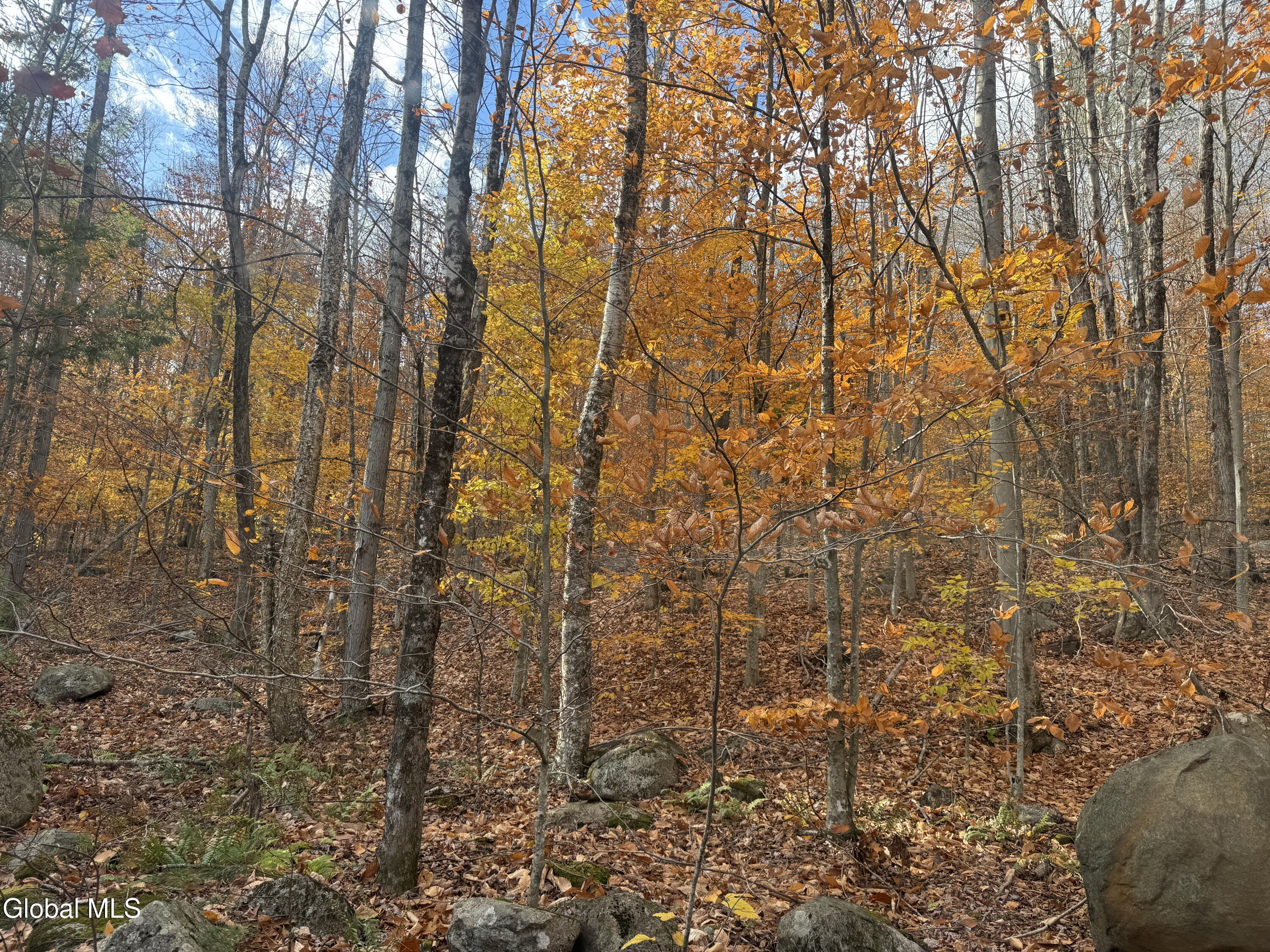 360 Steve Kathan Road Hadley, NY 12835 - Photo 17 of 19 IMG_5632