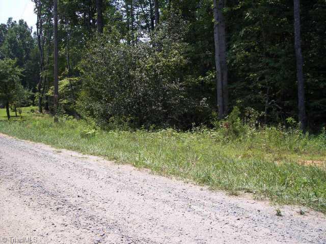 0 West Old Phillips Road Pinnacle, NC 27043 - Photo 2 of 3 Other.
