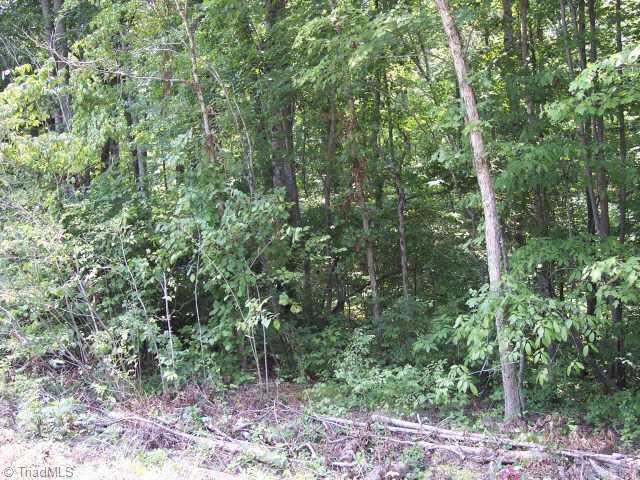 0 West Old Phillips Road Pinnacle, NC 27043 - Photo 3 of 3 Other.