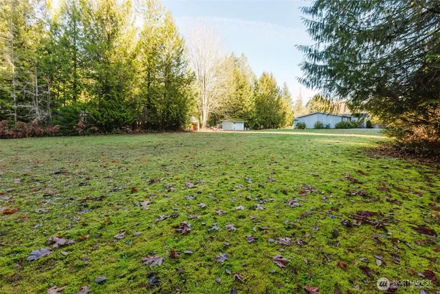 a big yard with lots of green space and trees