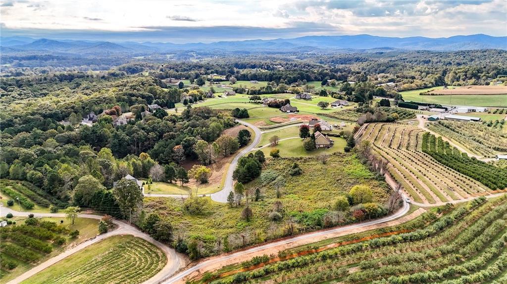 Lot 22 Ridgemont Lane Ellijay, GA 30536 - Photo 4 of 12 a view of a city