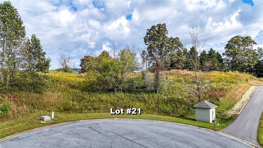 Lot 22 Ridgemont Lane Ellijay, GA 30536 - Photo 5 of 12 a view of a lake with a yard