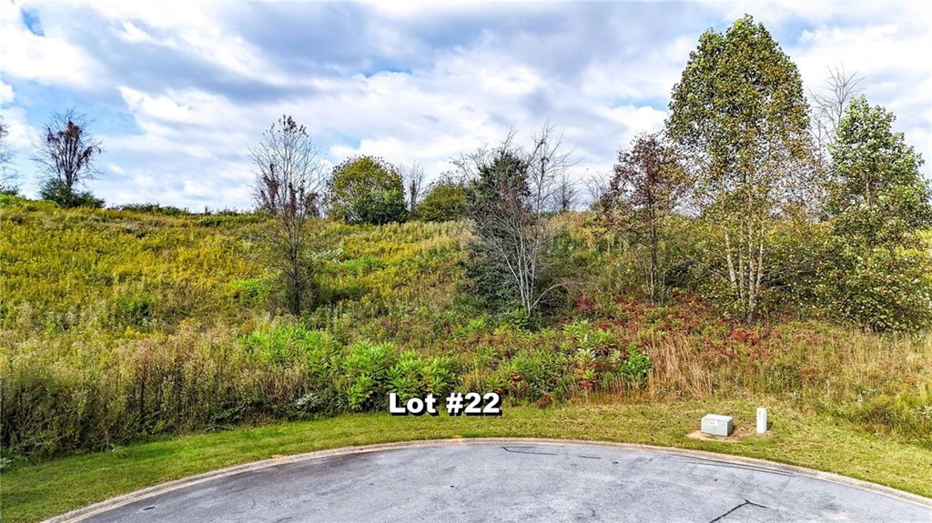 Lot 22 Ridgemont Lane Ellijay, GA 30536 - Photo 6 of 12 a view of a yard