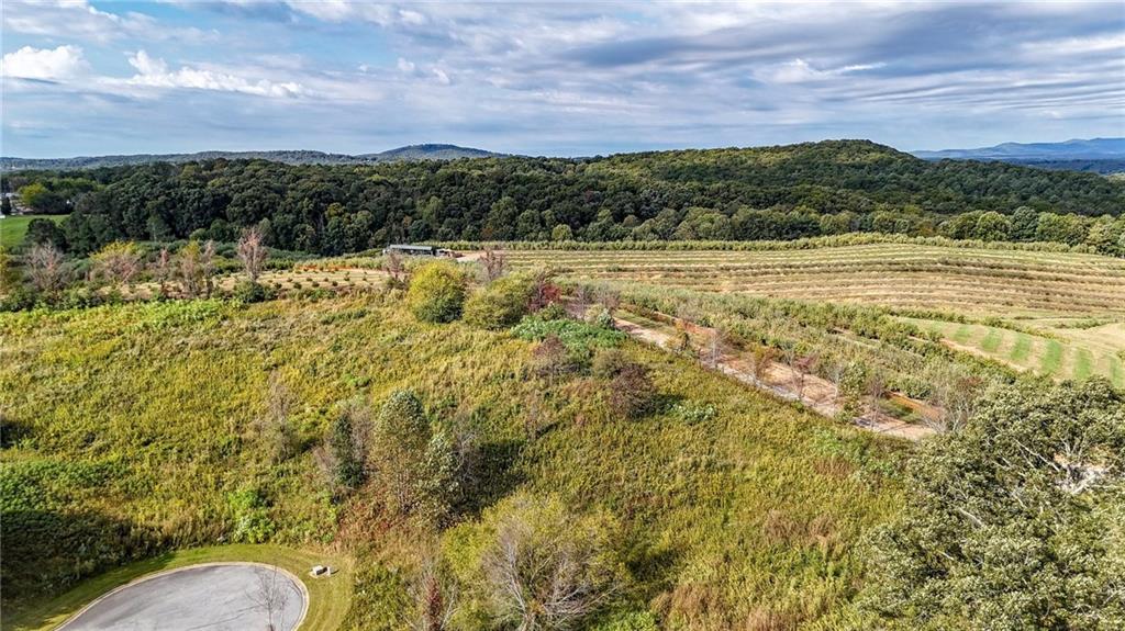 Lot 22 Ridgemont Lane Ellijay, GA 30536 - Photo 8 of 12 a view of a city