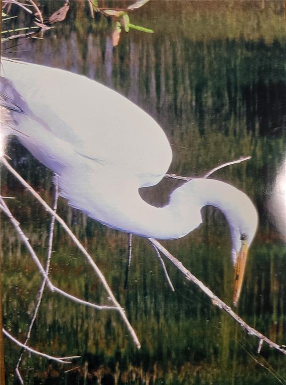 7662 Southwest Liverpool Road Arcadia, FL 34269 - Photo 54 of 66