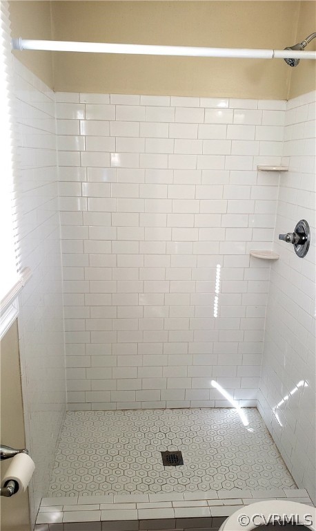 5030 Alberta Road Chesterfield, VA 23832 - Photo 17 of 19 a bathroom with a shower
