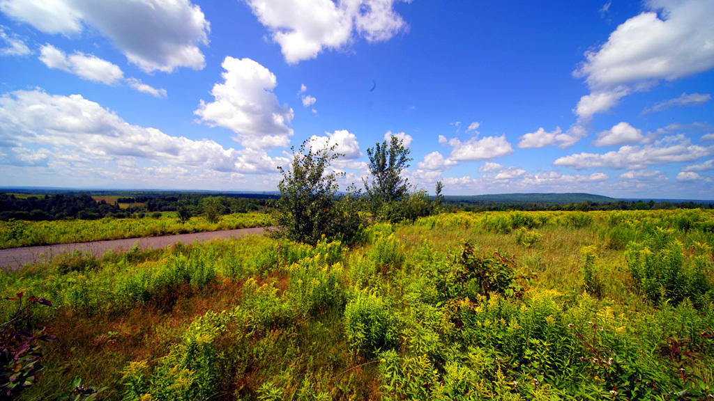 Lot 3 Dyer Brook Road Dyer Brook, ME 04747 - Photo 14 of 30 dyer-brook-land-strubbar-6