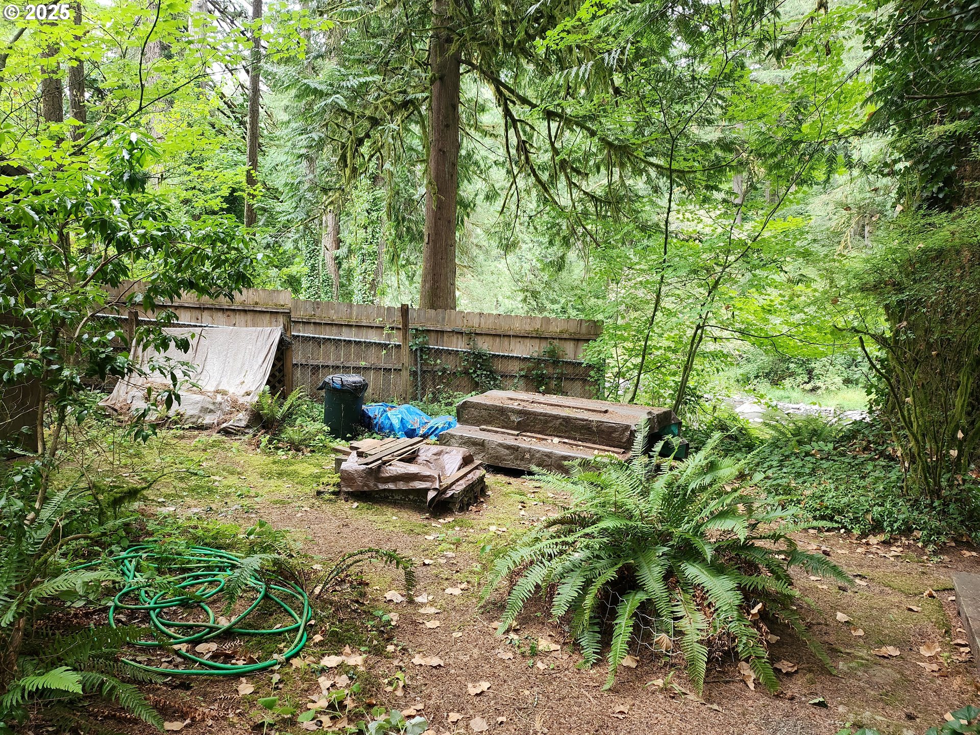 19601 Northeast Lucia Falls Road Yacolt, WA 98675 - Photo 6 of 9