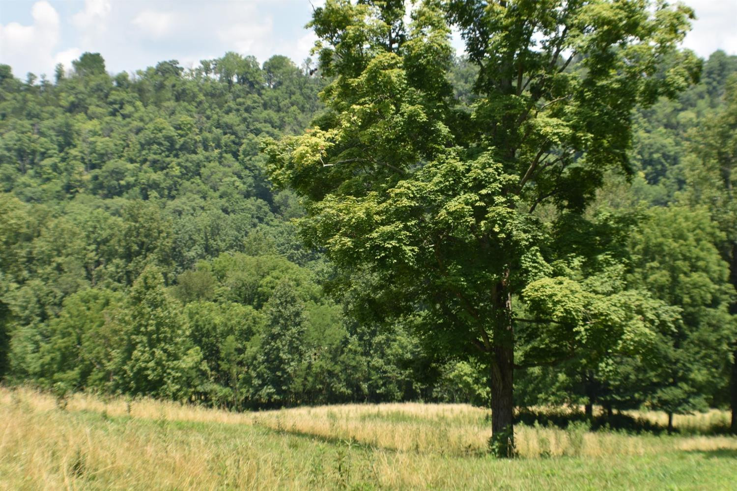 7 Short Road Lawrenceburg, KY 40342 - Photo 4 of 4 Photo 3