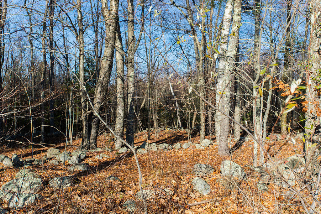377 Diamond Hill Road Berwick, ME 03901 - Photo 10 of 22 377 Diamond Hill Rd
