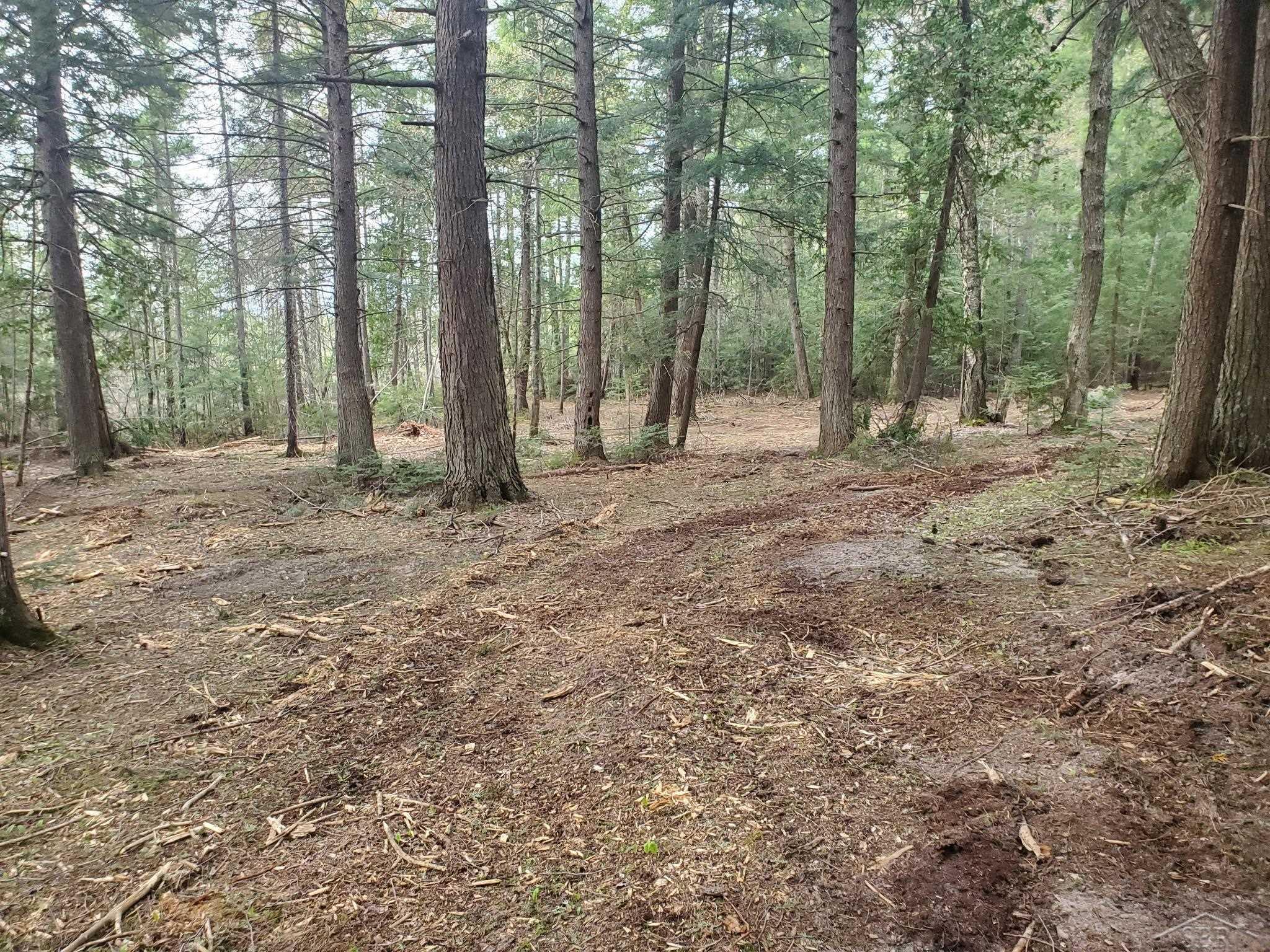 Old Plank Road Wetmore, MI 49895 - Photo 4 of 13