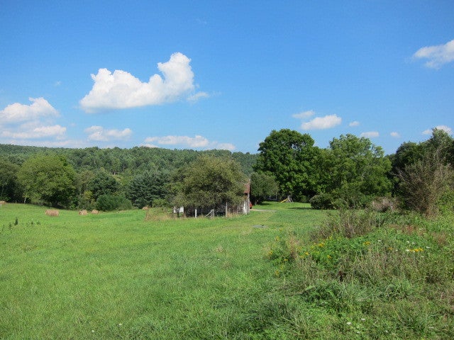 2025 Pete Lynch Road Secondcreek, WV 24974 - Photo 84 of 94 Upper field area.