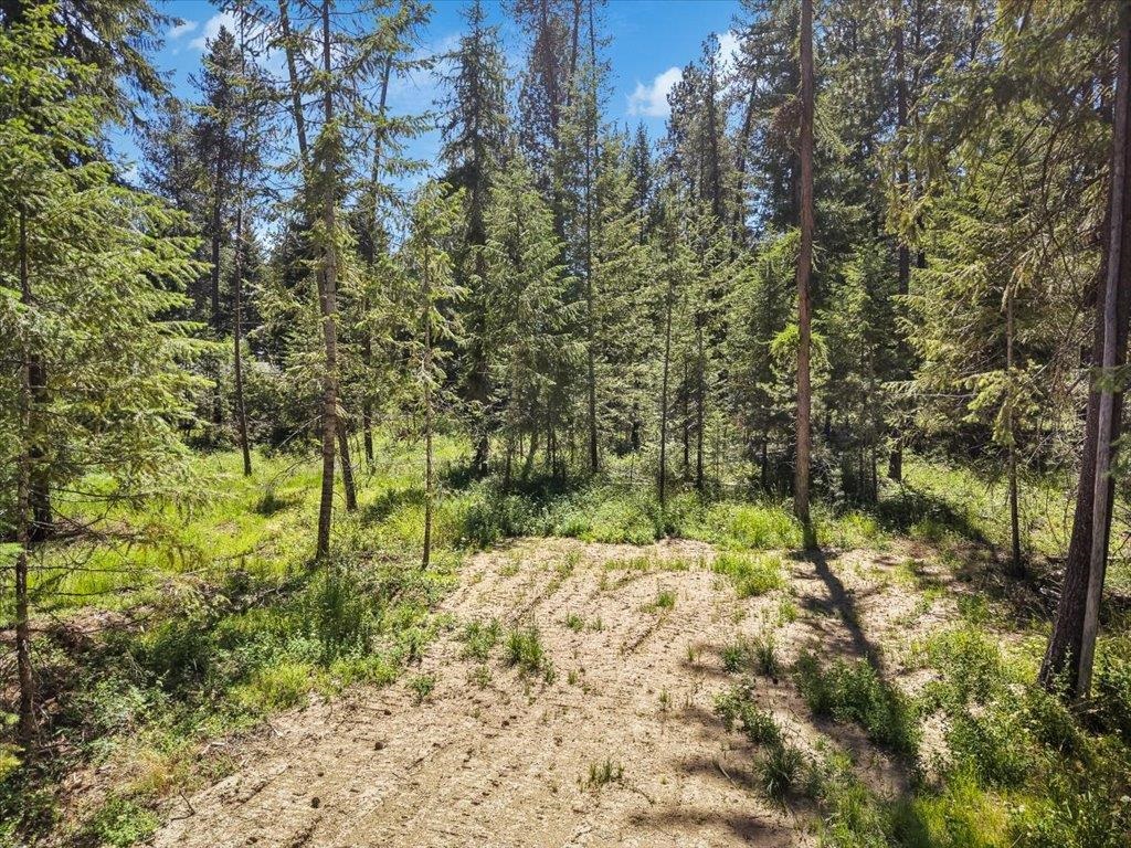 305-xx North Cleveland Road Deer Park, WA 99006 - Photo 8 of 15