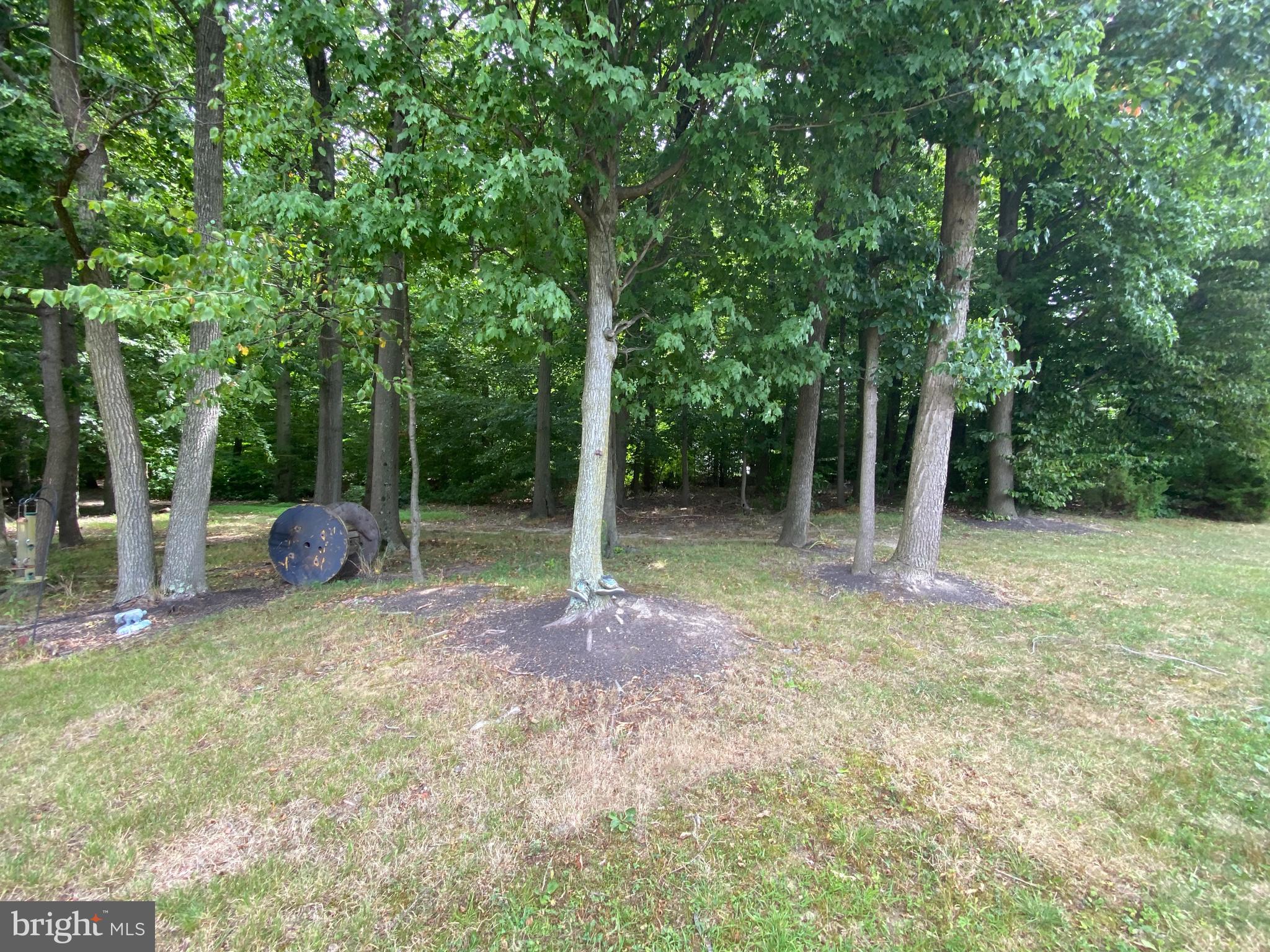232 Stanwood Road Fairless Hills, PA 19030 - Photo 8 of 46 Just outside your fenced in yard....