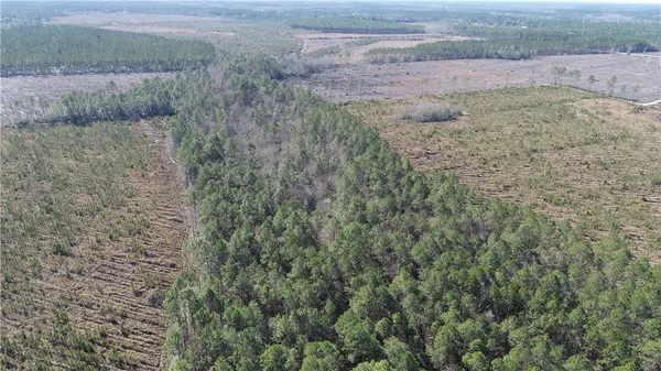 $877,844 | 5100 Flowers Branch Road, Screven, GA 31560