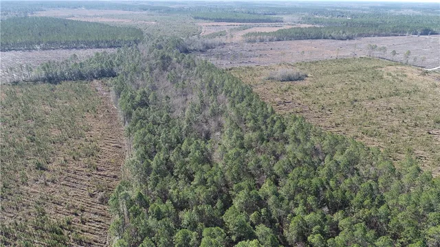 $877,844 | 5100 Flowers Branch Road, Screven, GA 31560