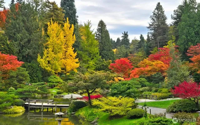 $1,249,999 | 3217 East Madison Street, Seattle, WA 98112