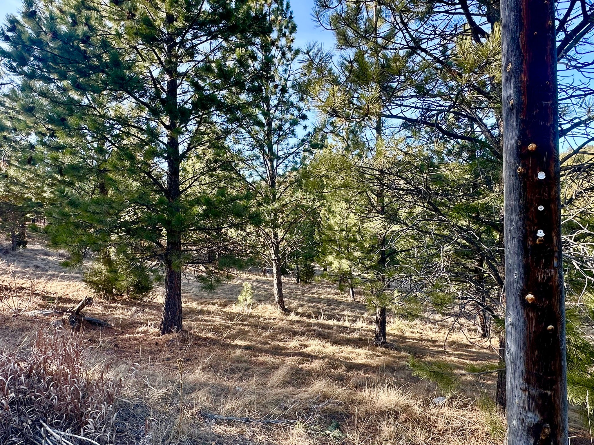Tbd Martinez Gulch Road, Unit GULCH Clancy, MT 59634 - Photo 15 of 18 Gallery Image 15