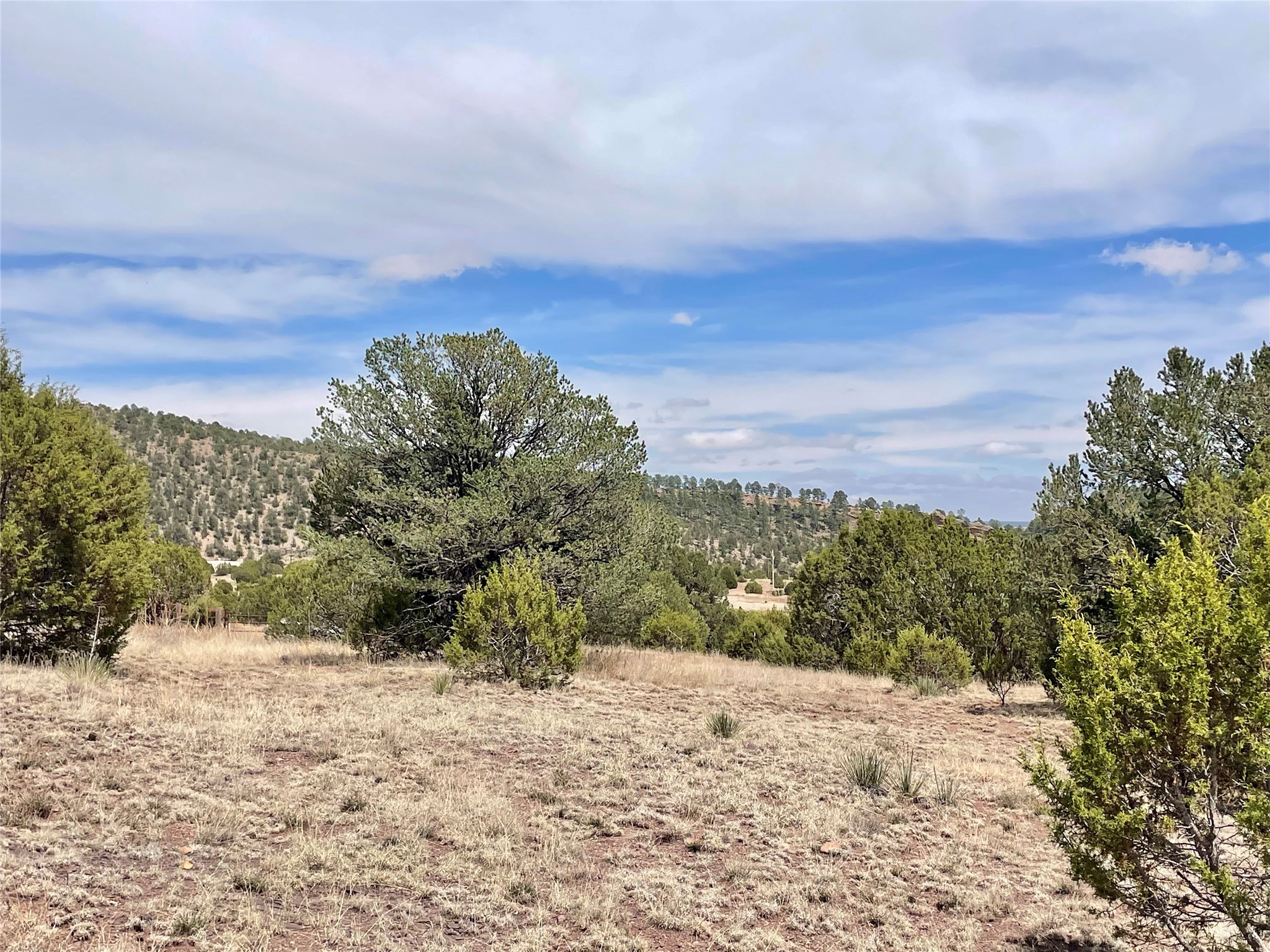 331 Mirasol Road Las Vegas, NM 87701 - Photo 11 of 14