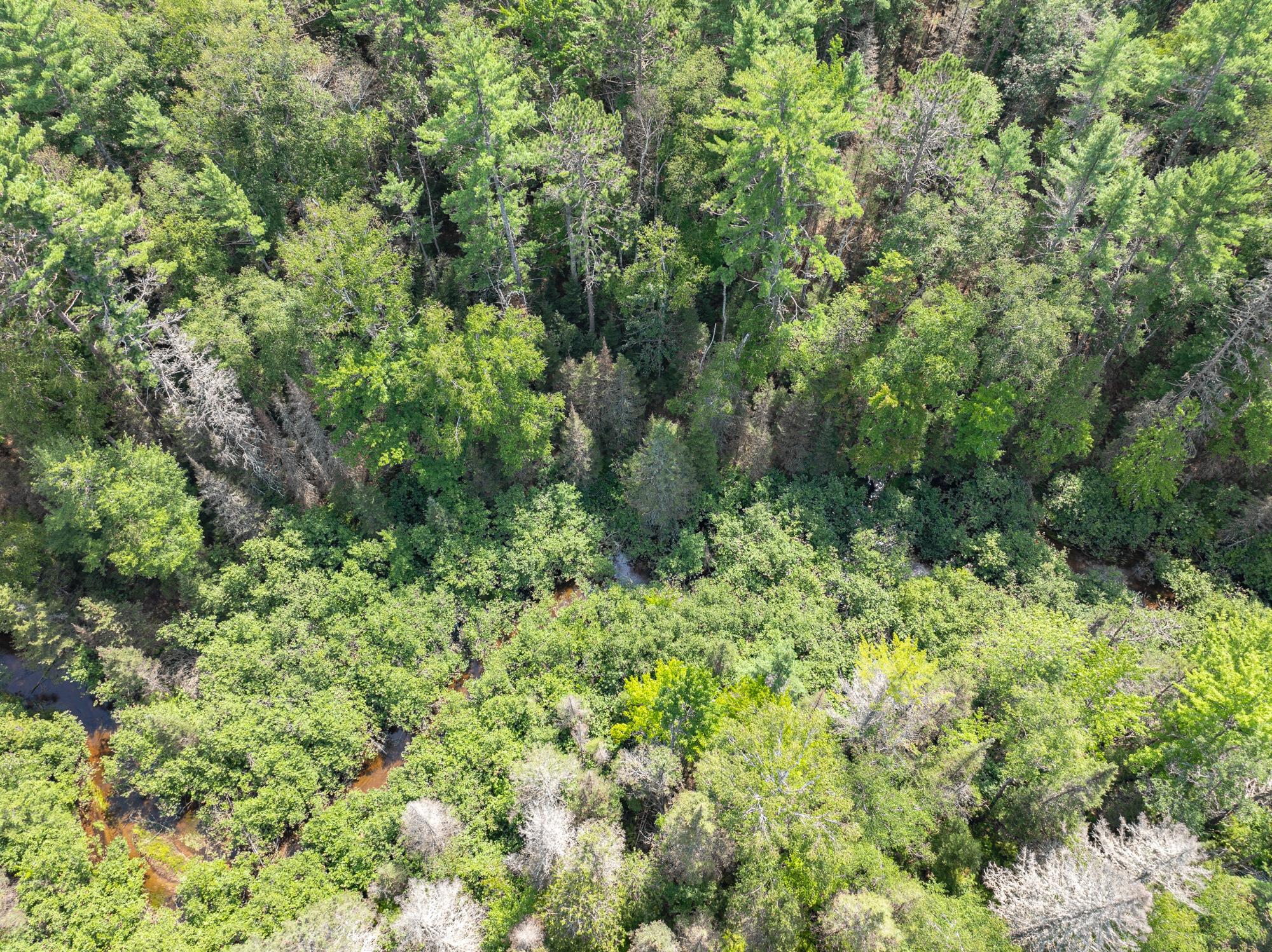 On Dam Road Eagle River, WI 54521 - Photo 61 of 86 Gallery Image 61