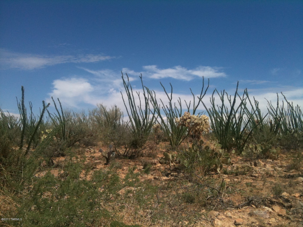 6955 West Wrangler Road Sahuarita, AZ 85629 - Photo 1 of 2