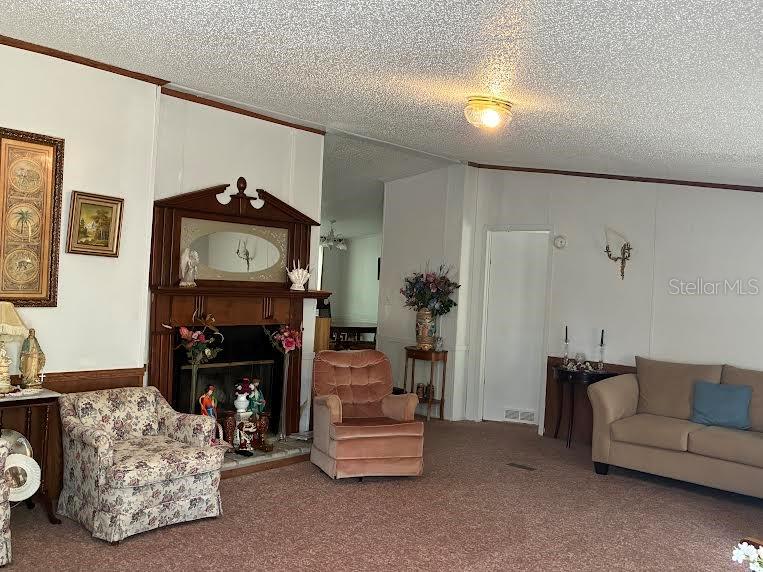 109 Greenwood Road Florahome, FL 32140 - Photo 3 of 10