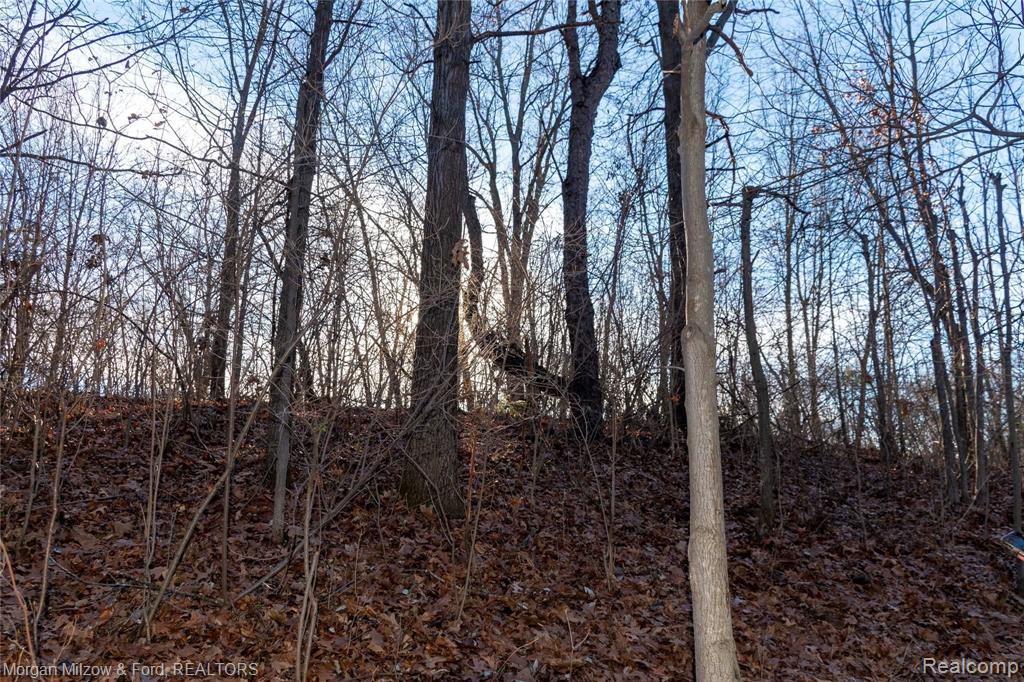 0 East Rattalee Lake Road Holly, MI 48442 - Photo 5 of 12