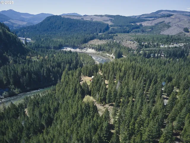 a view of a house with a street lush green forest
