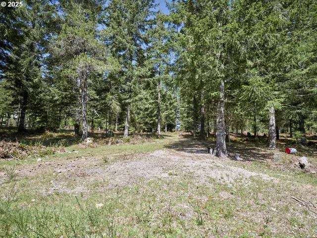 a backyard of a house with a tree