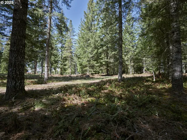 a view of outdoor space and yard