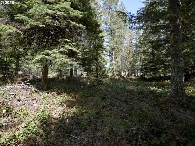 a view of a lake with a tree