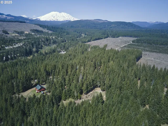 a view of a lush green hillside and a houses
