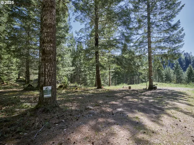 a view of a dirt road with trees