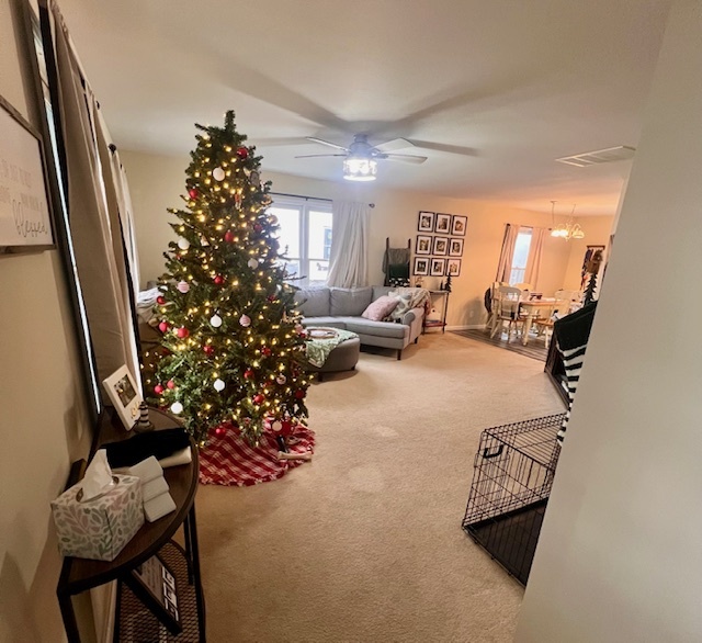409 East Congress Avenue Rantoul, IL 61866 - Photo 12 of 20 a living room with furniture and a potted plant