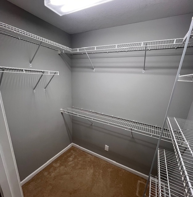 409 East Congress Avenue Rantoul, IL 61866 - Photo 16 of 20 a view of a room with racks on the wall