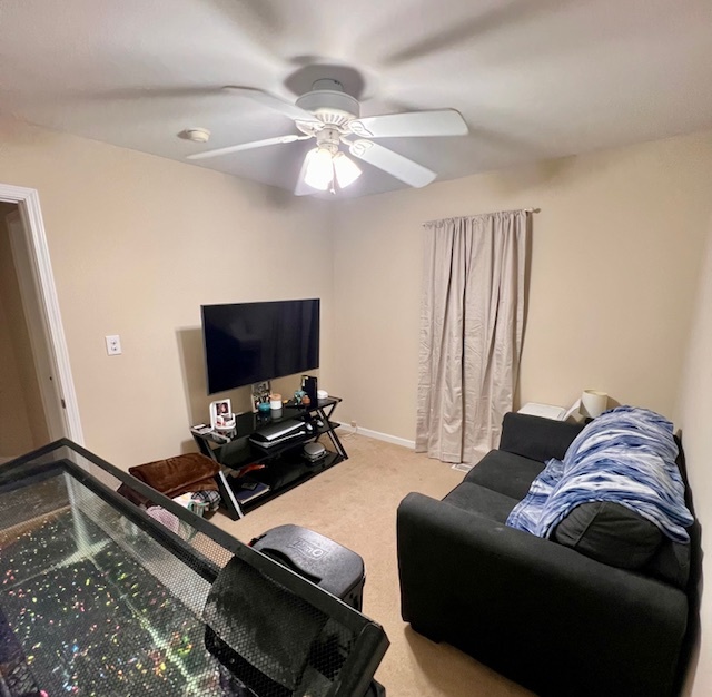 409 East Congress Avenue Rantoul, IL 61866 - Photo 3 of 20 a living room with furniture and a flat screen tv