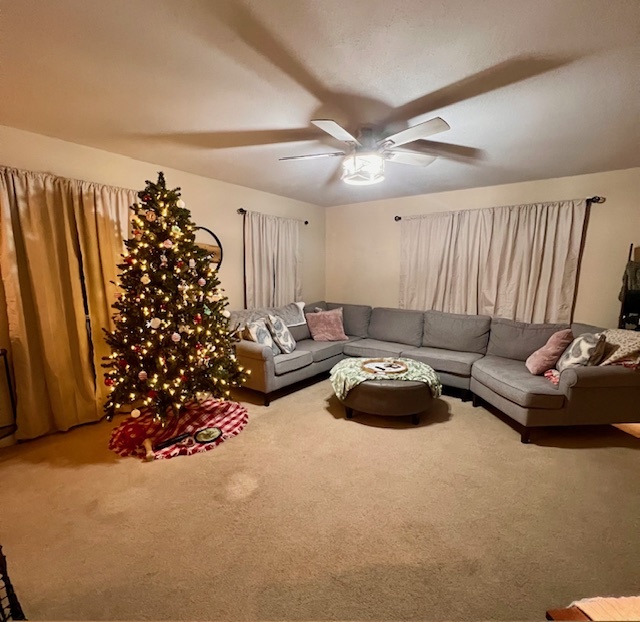 409 East Congress Avenue Rantoul, IL 61866 - Photo 9 of 20 a bedroom with bed and a couch