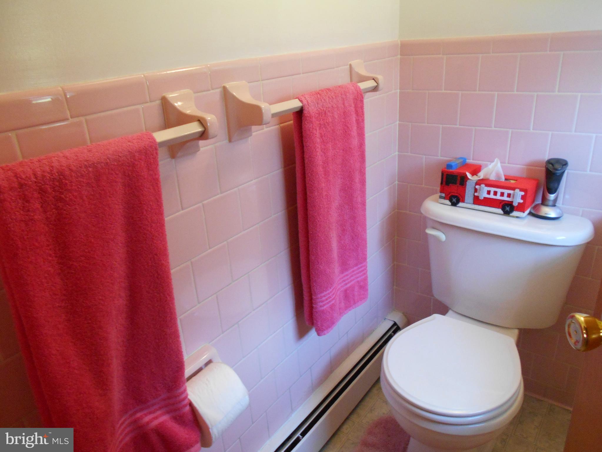 6012 Adamstown Road Adamstown, MD 21710 - Photo 23 of 30 Bath (Master)