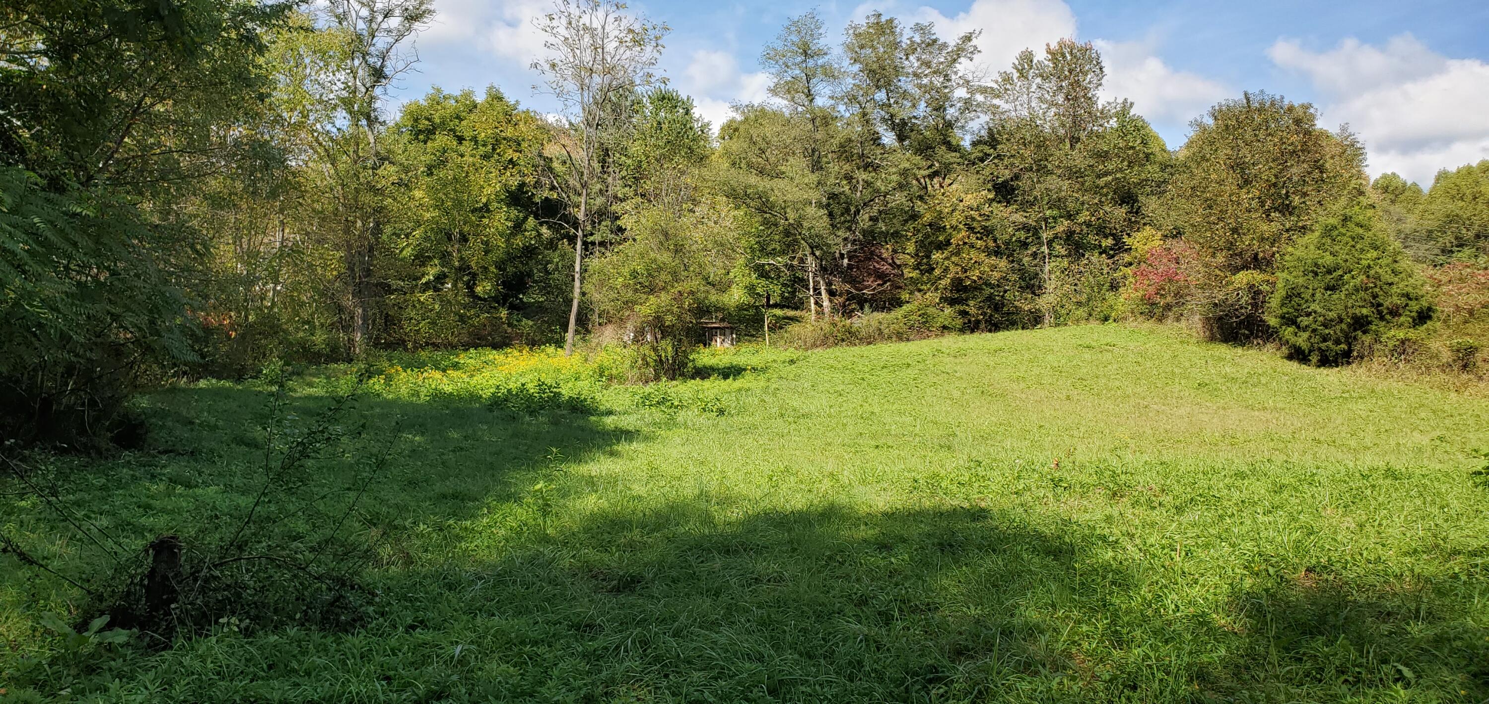 581 Meadow View Road Bristol, TN 37620 - Photo 6 of 13 20211010_140154