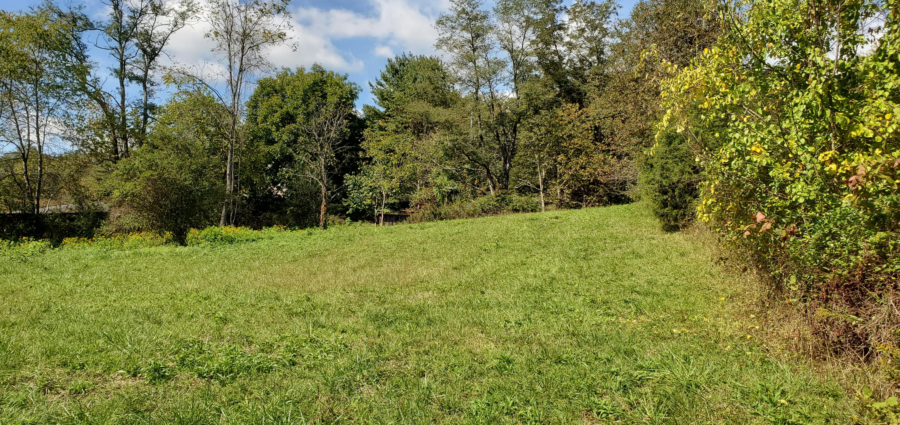 581 Meadow View Road Bristol, TN 37620 - Photo 8 of 13 20211010_140340