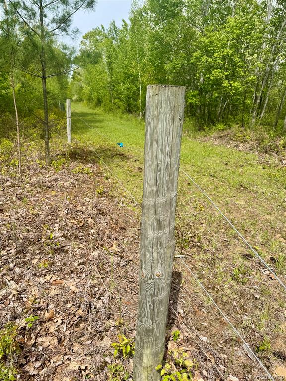 499 East Winegars Road Gladwin, MI 48624 - Photo 13 of 33 Gallery Image 13