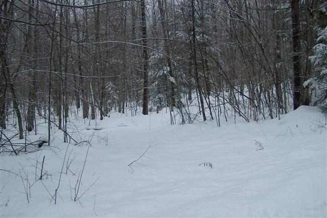 37 Cohen Road Greenfield, NY 12833 - Photo 1 of 5 Photo 1