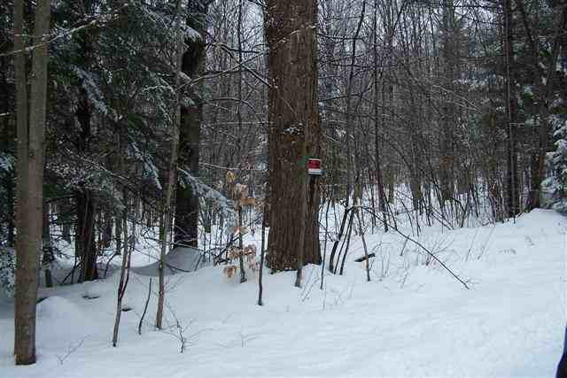 37 Cohen Road Greenfield, NY 12833 - Photo 2 of 5 Photo 2