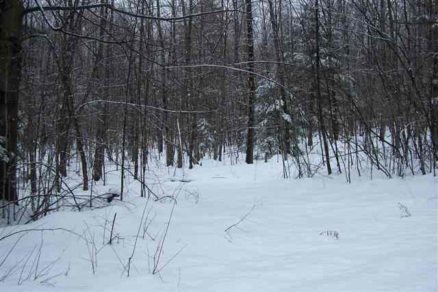 37 Cohen Road Greenfield, NY 12833 - Photo 4 of 5 Photo 4
