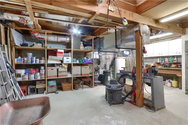 a view of a house with a yard plants and large tree