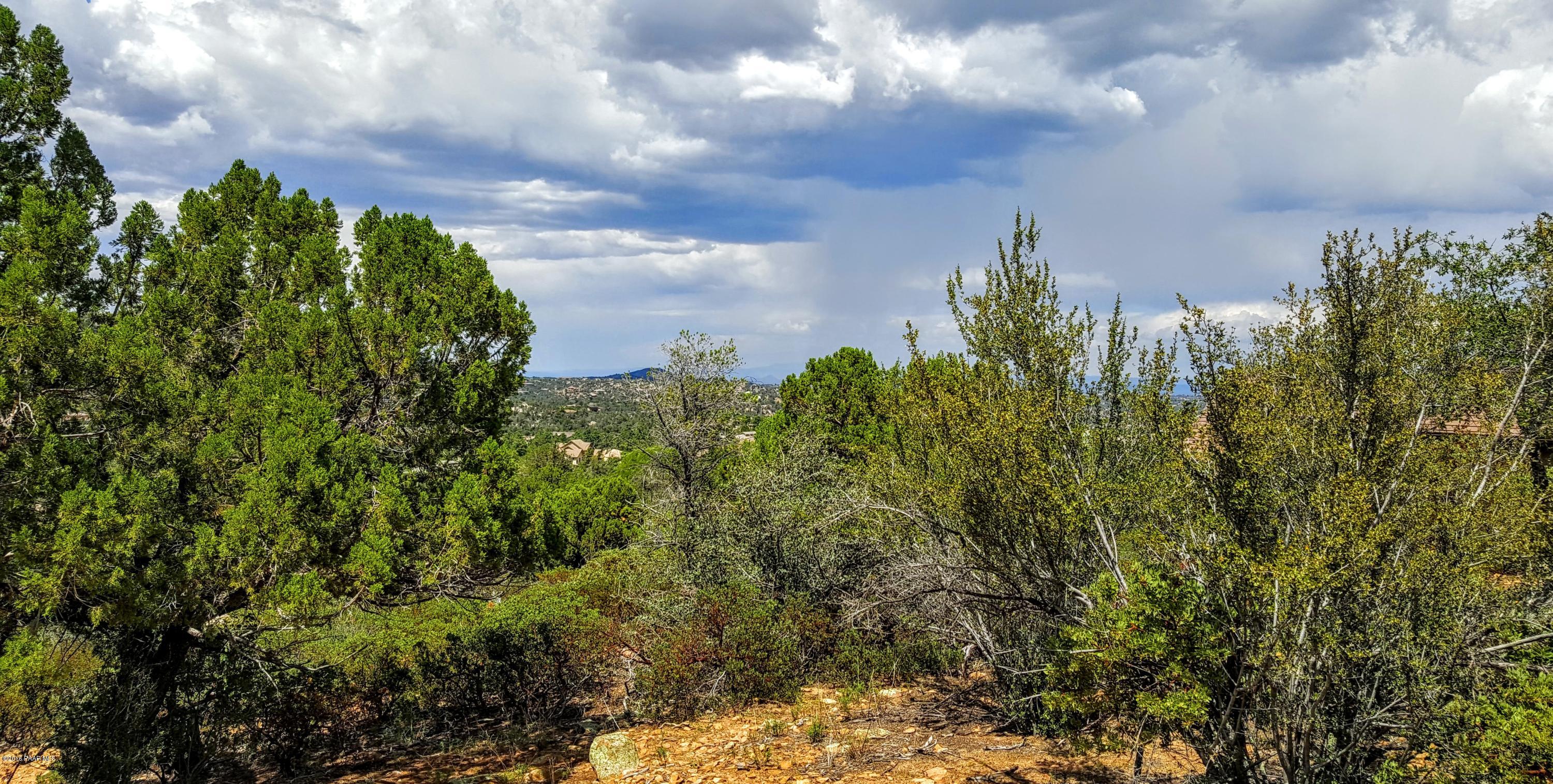 2120 Forest Mountain Road Prescott, AZ 86303 - Photo 13 of 23 20160815_135350
