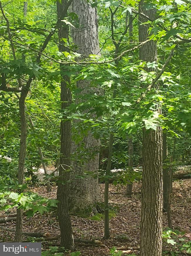 700 Maple Avenue North Beach, MD 20714 - Photo 2 of 12 a view of balcony