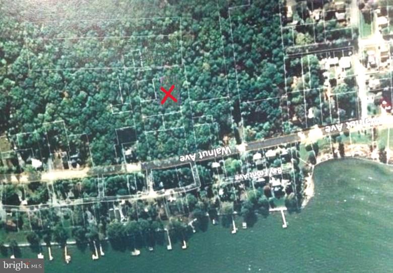 700 Maple Avenue North Beach, MD 20714 - Photo 3 of 12 a small yard with lots of green space and plants