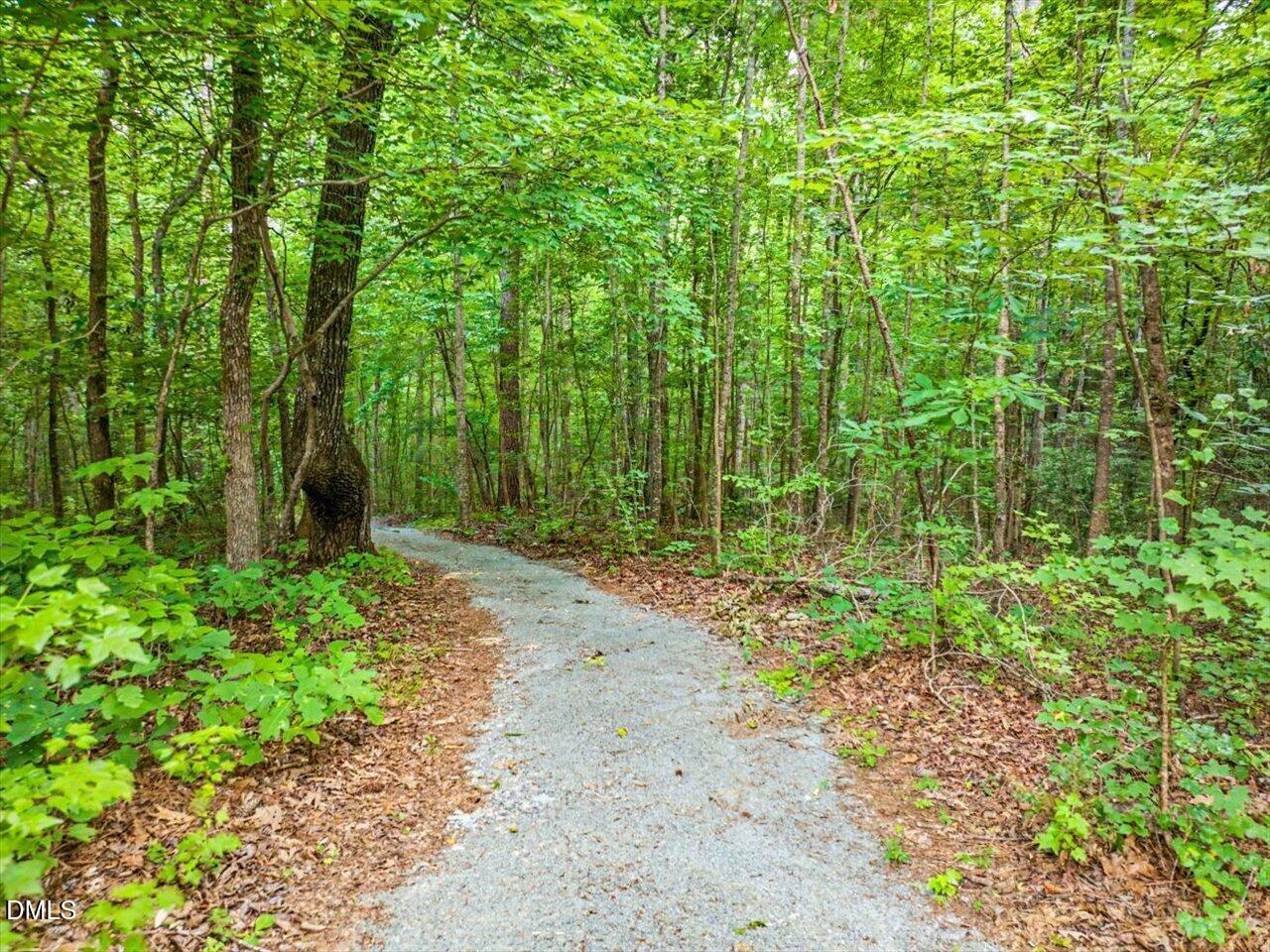 275 Mill Stone Road Moncure, NC 27559 - Photo 84 of 91 Path to River and Creek