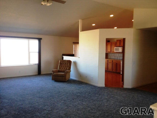 282 Violetta Road Delta, CO 81416 - Photo 7 of 19 Gallery Image 7